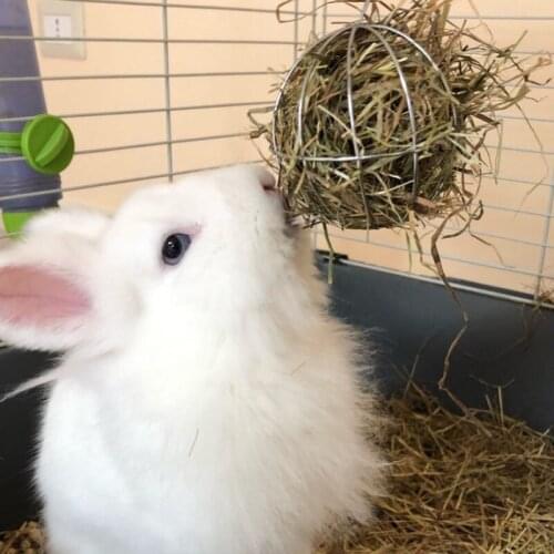 1pc Stainless Steel Round Sphere Feed Dispense Exercise Hanging Hay Ball Guinea Pig Hamster Rat Rabbit Pet Toys Supplies U2