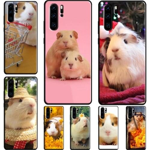 Squirrel Guinea Pig Mouse Back Case For Huawei P40 P30 Lite P Smart Z 2019 P20 Pro Mate 20 Lite Honor 20i 9A Nova 5T