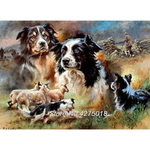 5D DIY diamond painting animal Cross Stitch"border collie" 3D diamond Embroidery Mosaic puzzle painting Rhinestone Decor YG624