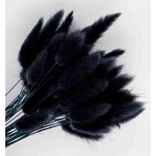 Rabbit Tail Grass Natural Dried Flowers 10pcs/lot and 15pcs/lot Wedding Home Easter Decoration Primary color, White, Black,Pink