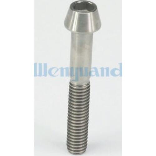LOT 4 M6 x 40mm Original Color TC4 GR5 Titanium Alloy Allen Hex Screw Taper Cone Head Bolts For Bicycle
