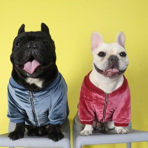 Dog Down Jacket Thick Warm Clothes For Small Medium Dogs Top Quality French Bulldog Winter Coat Clothing