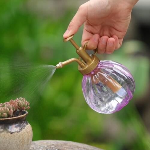 350ML Plant Flower Watering Pot Spray Bottle Sprayer Planting Succulents Kettle Supplies for Garden Small Garden Tools