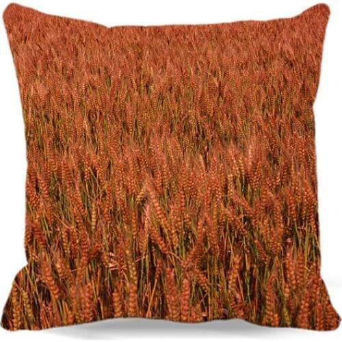 Square Cotton polyester soft cushion cover for Home car sofa chair decorative