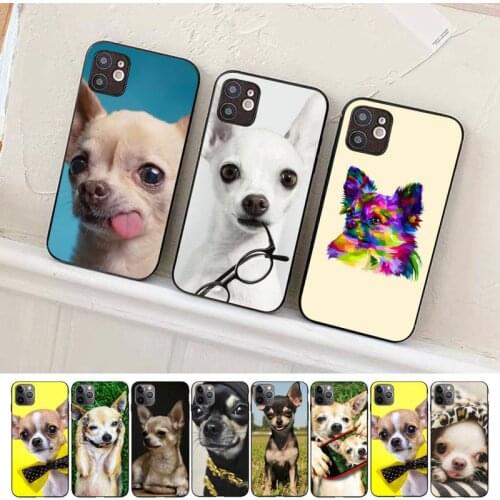 Cute Pet Chihuahua Dog Phone Case for iPhone 8 7 6S Plus X 5S SE 2020 XR 11 12 mini pro XS MAX