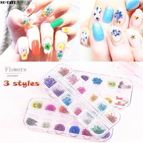 Nu-TATY Nail Art Flower Jewelry Starry Sun Flower Daisy 12 Color Dried Flower Ornaments Real Flower 24 nail sticker