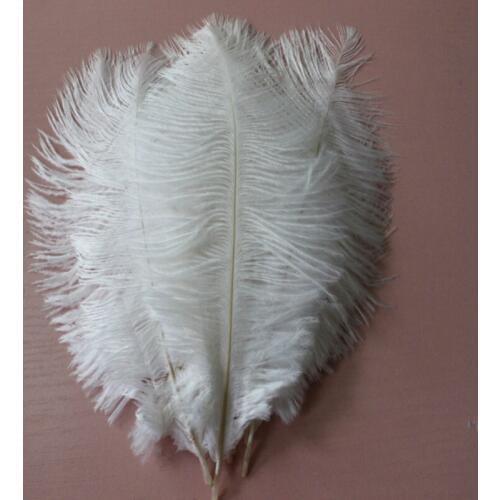 50pcs white ostrich feathers 6-8 inches/15-20 cm Christmas Birthday Wedding Party DIY Decorations Plumage
