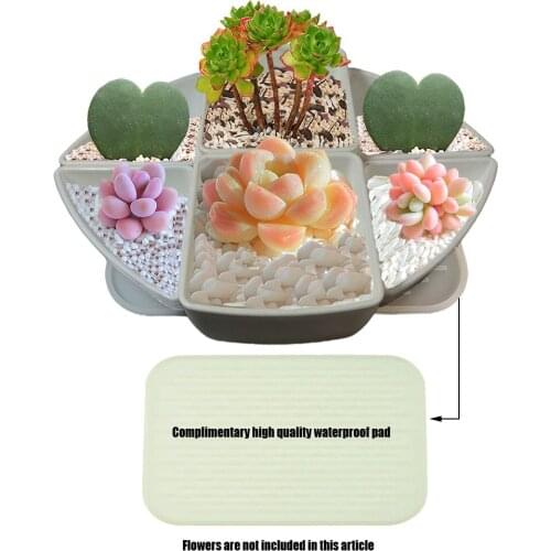 Crhexpva Tabletop Flower Vases