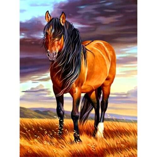Animal Horse DIY Embroidery Cross Stitch 11CT Kits Needlework Craft Set Cotton Thread Printed Canvas Home Decoration On Sell