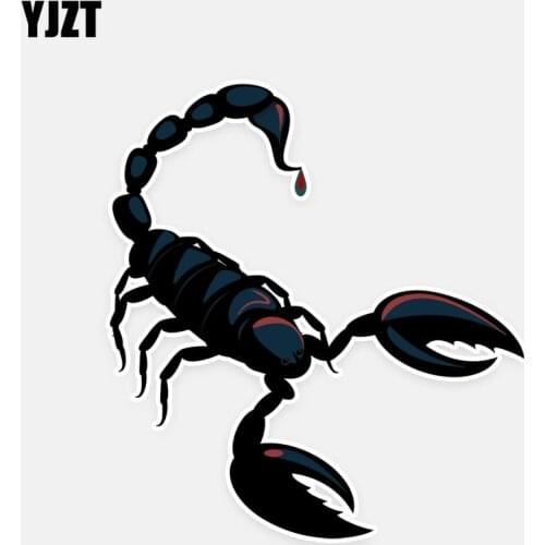 YJZT 11.1*12.1CM Coolest Scorpion Decor Car Stickers Bumper Car Window Personalized Colored 11A0630