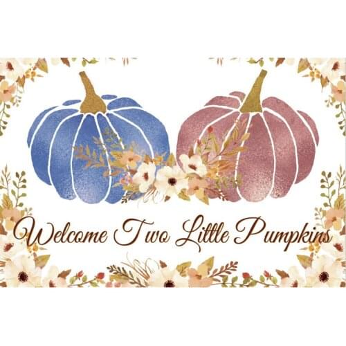 Welcome Two Little Pumpkins Backdrop Birthday Party Decoration Background Baby Shower Vintage Flower Plant Photo Booth Props