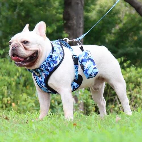 HiMISS Collars, Harnesses And Leashes