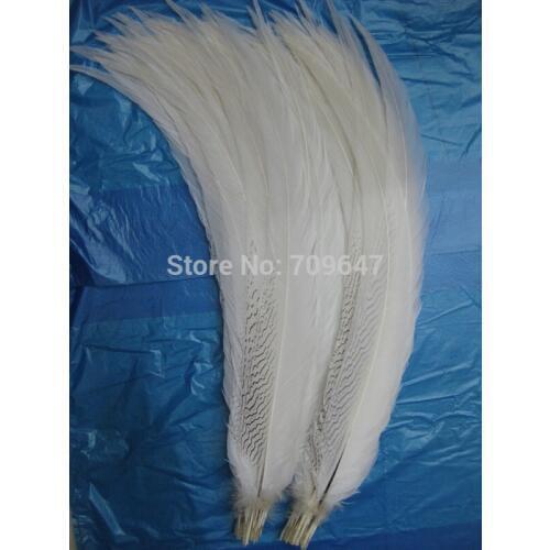 50pcs/lot!26-28inch 65-70cm Long Silver Pheasant Tail Feathers for Showgirl Carnival Costume AAA Quality,Plume Decoration