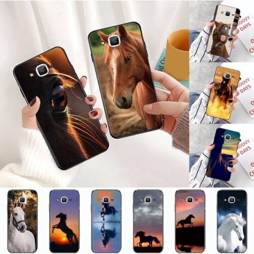 Frederik The Great beauty horse Phone Case For Samsung Galaxy J2 J4 J5 J6 J7 J8 2016 2017 2018 Prime Pro plus Neo duo