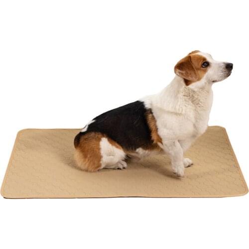 Dropshipping Waterproof Reusable Dog Bed Mats Dog Urine Pad Puppy Pee Fast Absorbing Pad Rug for Pet Training Summer mat