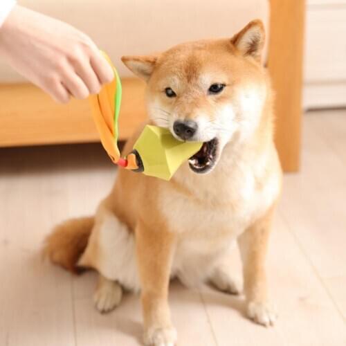 Fruit Shape Sound Make Squeaky Dog Pet Chew Molar Teeth Clean Slow Feeding Toy