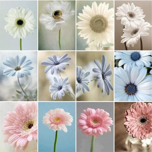 HUACAN Painting By Numbers Daisy Wall Art On Canvas Unique Gift Hand Painted Picture By Numbers Flower For Living Room