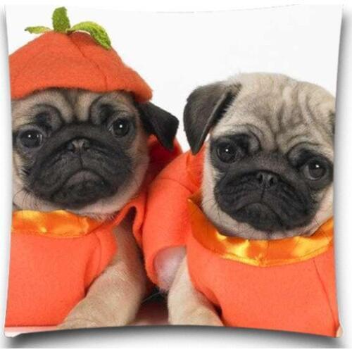 Two little dogs in clothes Cushion Cover Cotton Polyester Pillow Case 5 Size 9 Style Christmas Gift Cushion Cover Sofa Bed Decor