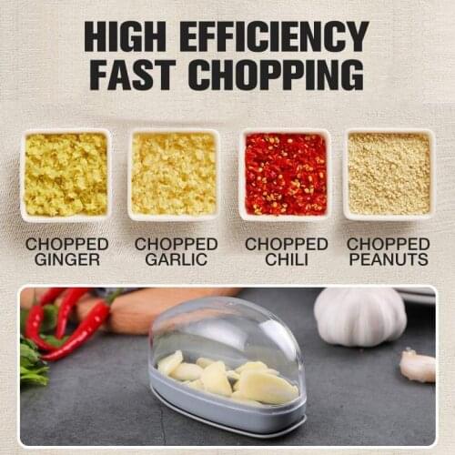 Dual-purpose Garlic Processor Steinless Steel Garlic Press And Slicer Portable Mini Garlic Crusher Chopper Kitchen Utensils