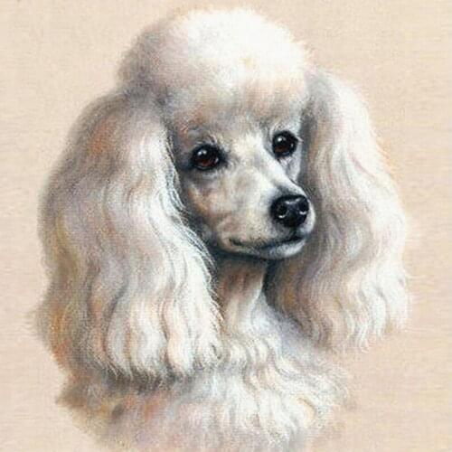 New Diamond Embroidery Dog 5d Diy Diamond Painting Set Diamond Mosaic Animal Full Square Picture Of Rhinestone Handmade Art