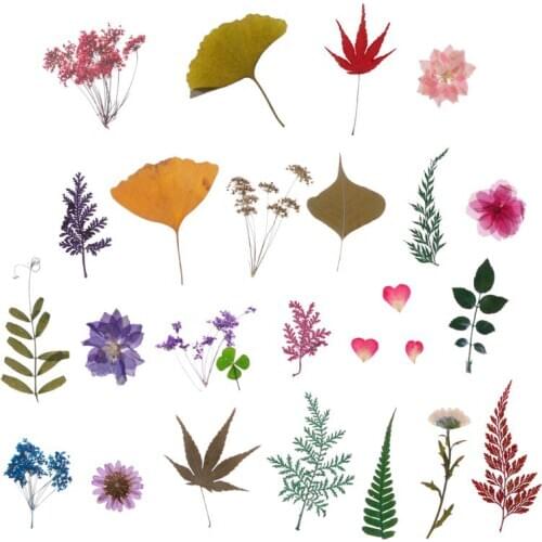Mix Pressed Flower Leaves Plant Specimen Fillers for Epoxy Resin Jewelry Making Tool Accessories