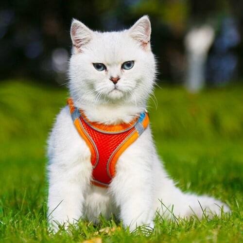 Reflective Adjustable Cat Harness Vest Walking Straps For Cat Lead Leash Kitten Dog Puppy Leads Pet Chest Harness Leash Chest