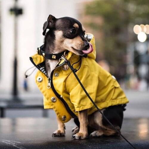 Windproof and rainproof yellow raincoat for dogs Windproof and waterproof replica classic British style