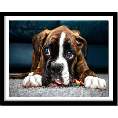 5D DIY Diamond Painting Dog Diamond Embroidery Cross Stitch Picture of Rhinestone Full Round Drill
