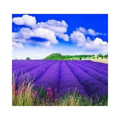 A3724 11CT/14CT/18CT/25CT/28CT oil street patterns Counted Cross Stitch DIY Cross Stitch Kits Embroidery Needlework Sets