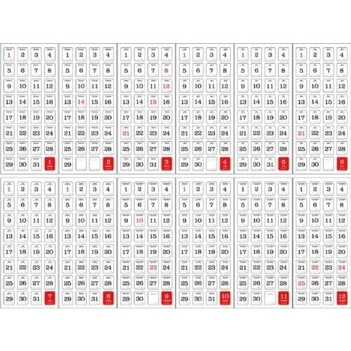 12 Sheets 365 Days Calendar Washi Label Daily Planner Handbook Sticker DIY Craft Scrapbooking Album Decorative Stickers