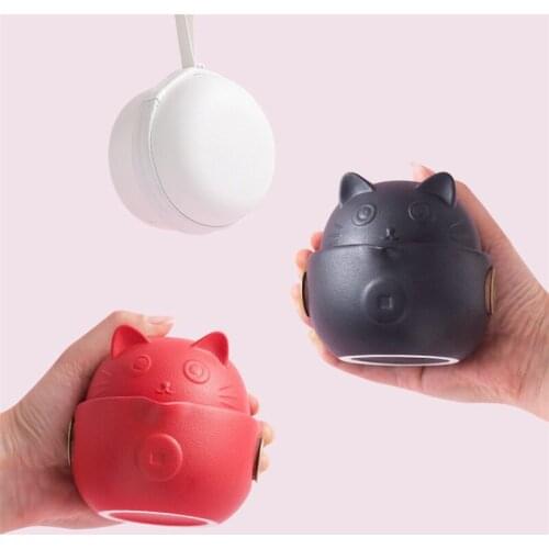 Travel Portable Ceramic Lucky Cat Tea Set Including 1 Pot + 2 Cups with Bag Simple Office Teacups Outdoor Teapot Home Teaware