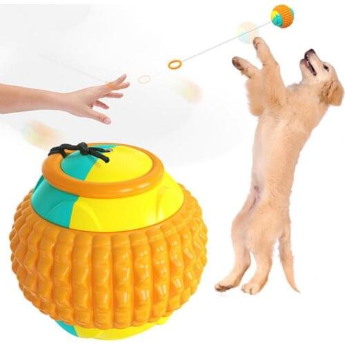 Pet Molar Toy with Telescopic Rope Cleaning Teeth ABS Interactive Chew Bite Toys Puppy Dental Care Relieve Stress Tools Gift