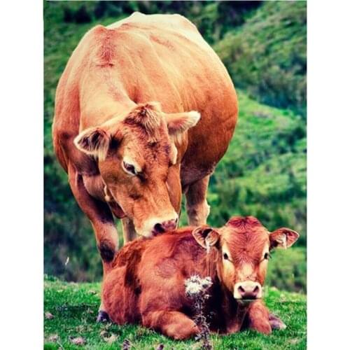 New 5D DIY Diamond Painting Cow Animal Embroidery Full Square Round Diamond Cross Stitch Rhinestone Mosaic Home Decor L470