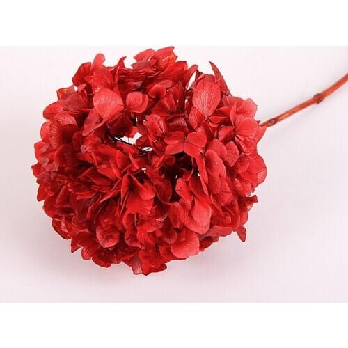 2021 Newyear Valentines Day Garden Wedding Home Decoration DIY Materials Preserved Hydrangea Flower Bouquet Ornament Accessorie