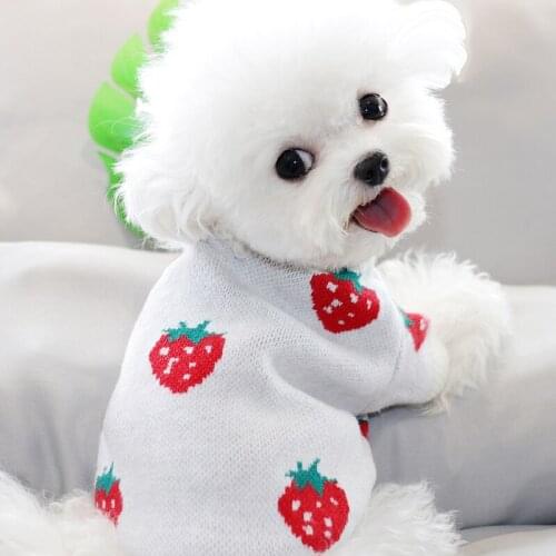 Autumn/Winter Pet Strawberry Print Sweater Small Dog Cat Teddy Bichon Hiromi Schnauzer Yorkshire Poodle Dog Clothes