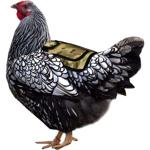 Adjustable Pet Strap Hen Apron Poultry Chicken Saddle Apron Protection Holder Chicken Protector Hen Dress Farm Animal Supplies