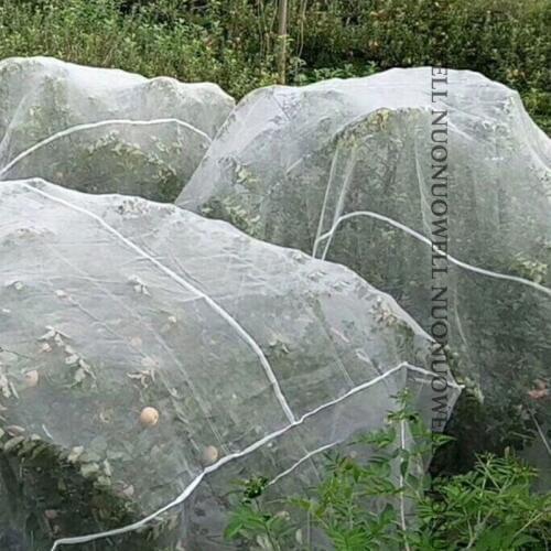 Height:3m Waxberry Tree Protection Cover Pest Control Net Cage Organic Farming Vegetable Plant Covers Anti Bird Mesh Nets
