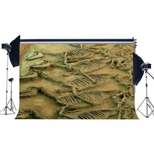 Dinosaur Fossils Backdrop Jurassic Period Cartoon Dreamy Photography Background