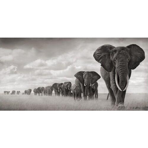 African Elephant Canvas Mural Poster Prints Picture on African Animal Canvas Decoration Family Living Room Home Decoration Photo