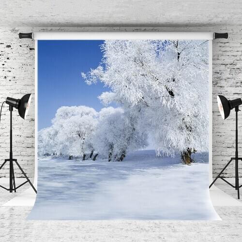 VinylBDS Winter Photo Backdrops Frozen Snow Winter Photography Backgrounds Blue Sky Branch Ice Edge Photo Backdrops Photo Studio
