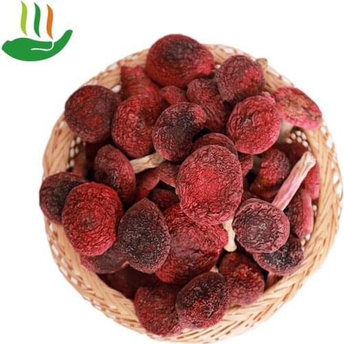 Russula; Honggu,Picking From The Deep Mountains