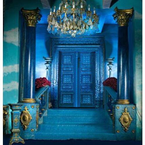 VinylBDS 10x10ft Blue Indoor Photography Background Lavishly Decorated House Backdrops Children Photography Backdrop 3015 LK