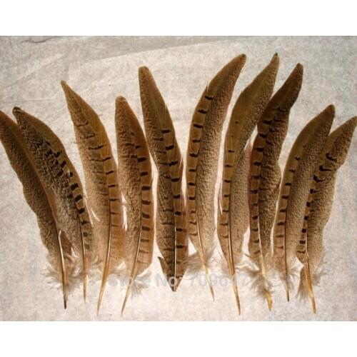 50PCS/LOT!6-8"(15-20cm)Ringneck Pheasant Tail Feathers Wholesale Loose Ringneck Pheasant Feathers for Jewelry,Hat,Crafts,etc