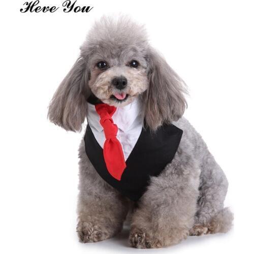 Heve You Dog Scarf Pet Accessories Puppy Teddy Neckerchief Pet Collars Comfortable Durable Adjustable Puppy Cat Collar for Dogs