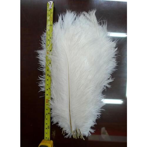 30pcs/lot 25-30cm beautiful natural Ostrich Feather for Wedding banquet decoration Headdress accessories ostrich feathers