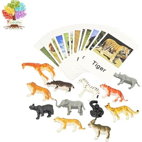 Treeyear Montessori Animal Match Cards Miniature Poultry Animals with Matching Cards Montessori Learning Toy Language Materials