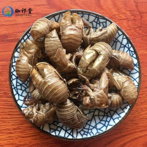 Cicada Slough Periostracum Cicadae Chan Tui