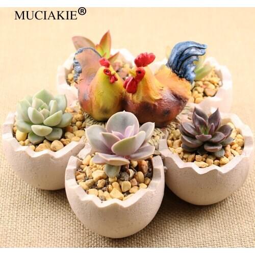 MUCIAKIE 1PC Creative Egg Eggshell Simulation Succulent Plant Micro-landscape Garden Flower Container Desktop Potted Resin Pot