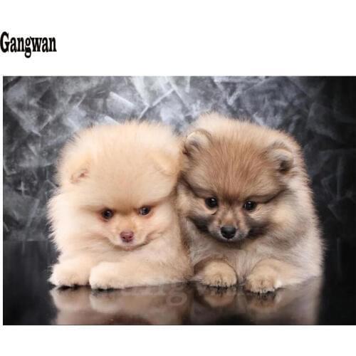 5D Resin Diamond Painting puppies pomeranian Mosaic Full Display Square Drill Embroidery Sale Round Cross Stitch kids painting