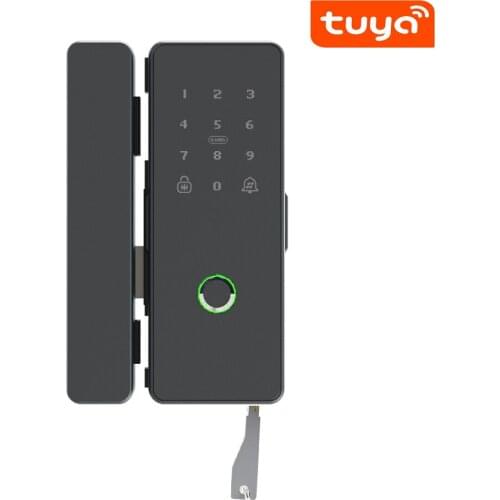 Tuya APP WiFi Remote Fingerprint Password Number Code Lock With Key For Home Office Frameless Frame Glass Push Sliding Door